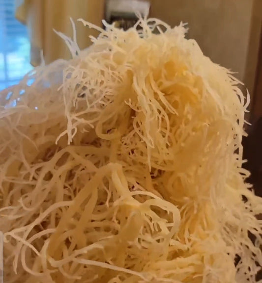 ST. LUCIA GOLD PREPARED SEA MOSS 1 lbs.